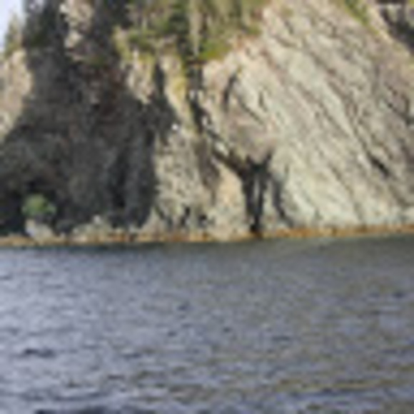 Meet your Posher, Mitch - Picture 1 of 1